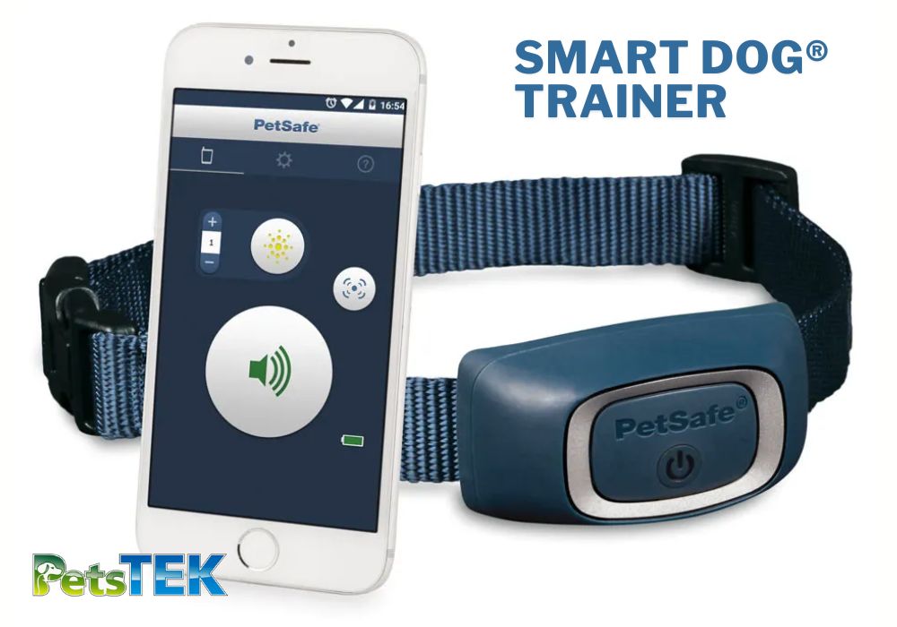 PetSafe SMART DOG® Trainer PDT00-15748 – How to Use the E-Collar