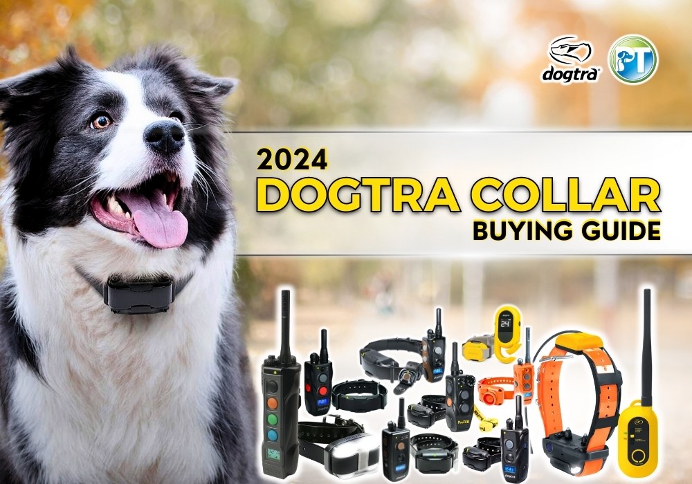 2024 Dogtra Collar Buying Guide – Best Dogtra E-Collars Compared