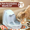 Are Pet Fountains Worth It Benefits for Dogs and Cats Explained