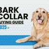 No Bark Collar Buying Guide 2025 – Compare the Best Options for Your Dog