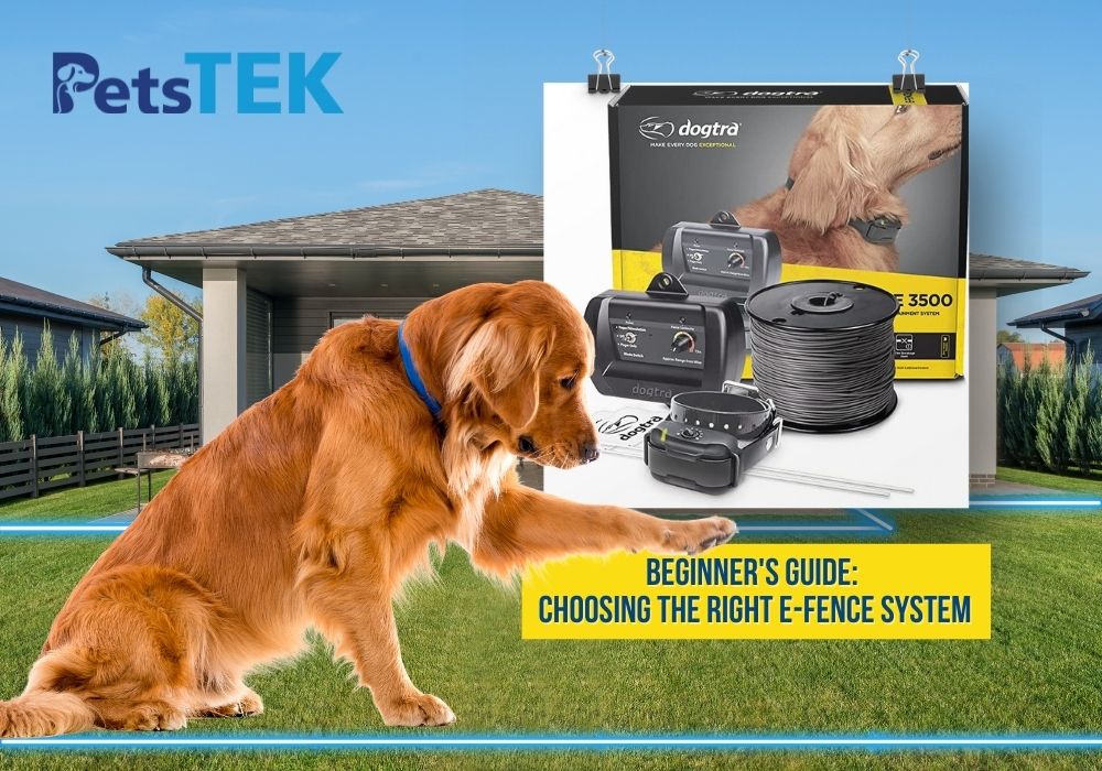 Beginner’s Guide to Choosing the Right E-Fence for Dogs