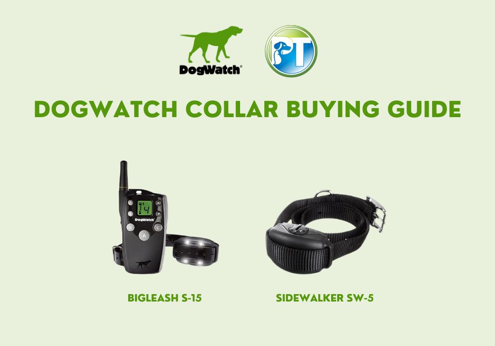 DogWatch Collar Buying Guide 2023 – Find the Right E-Collar for Your Dog