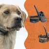 SportDog Feature: 425X vs 425XS vs 425X Camo