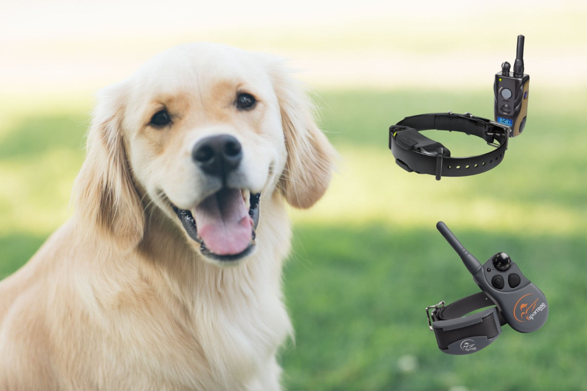 Sportdog collar comparison discount