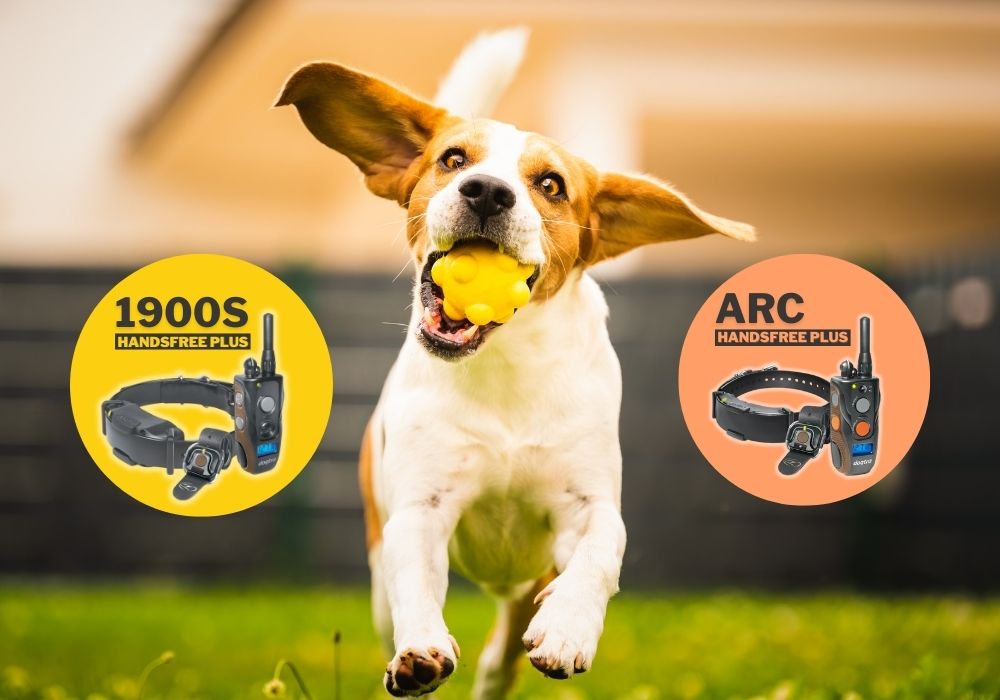 Dogtra HANDSFREE PLUS 1900S vs ARC – Collar Comparison