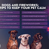 Dogs and Fireworks: 10 Tips To Keep Your Pet Calm