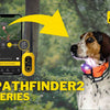 Best Dogtra GPS Collars for Tracking and Training Dogs