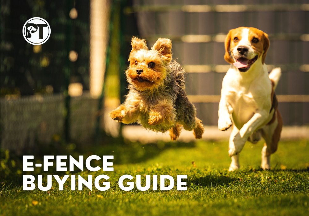 E-Fence Buying Guide 2023 – Best Electronic Dog Fences & Pet Containment