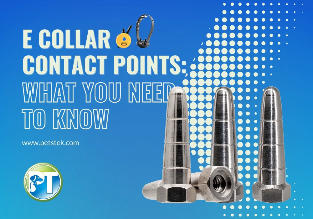 E-Collar Contact Points Explained: Types, Sizes, and How to Choose