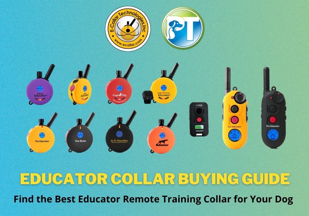 Educator Collar Buying Guide 2023: Find the Best E-Collar for Your Dog