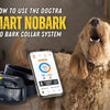 How to Use the Dogtra SMART NOBARK Collar: Setup, Training Modes & App Features