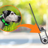 SportDog TEK Series GPS Dog Collars – Tracking & Training Made Easy