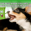 Best Affordable Bark Collars for Dogs – Budget-Friendly Training Solutions