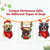 Unique Christmas Gifts for Every Type of Dog