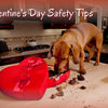 Valentine’s Day Safety Tips for Dog Owners: Keep Your Pup Safe