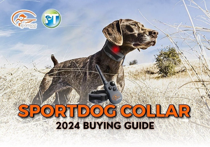 2024 SportDog Collar Buying Guide – Best SportDog E-Collars Compared - PetsTEK