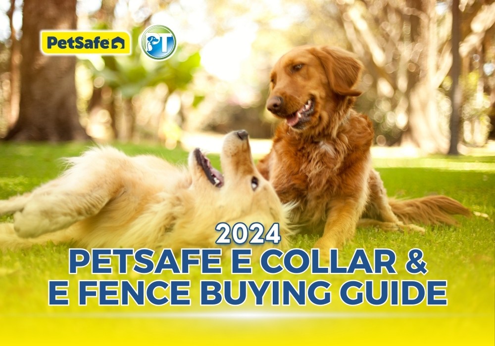 2024 PetSafe E Collar and E Fence Buying Guide