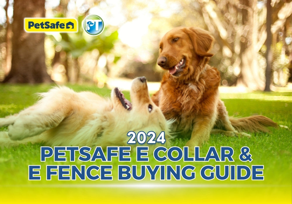 2024 PetSafe E Collar and E Fence Buying Guide