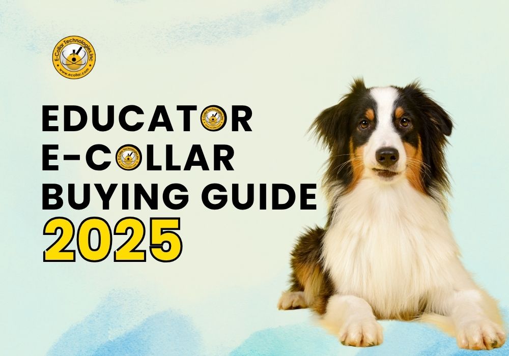 2025 E-Collar Educator Buying Guide
