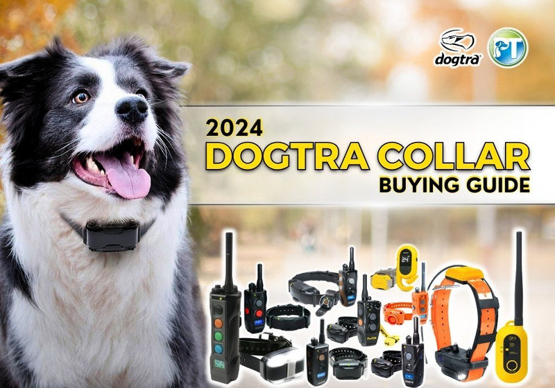 2026 Dogtra Collar Buying Guide – Best Dogtra E-Collars Compared - PetsTEK