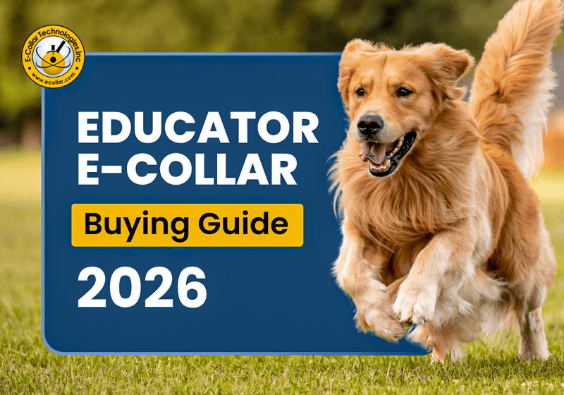 2026 E-Collar Educator Buying Guide - PetsTEK