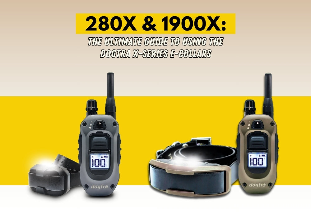 The Ultimate Guide to Using the Dogtra 280X and 1900X E-Collars