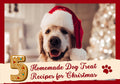 5 Easy Homemade Dog Treat Recipes for Christmas Your Pup Will Love - PetsTEK