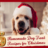 5 Easy Homemade Dog Treat Recipes for Christmas Your Pup Will Love