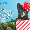 Is Gifting a Christmas Pet a Good Idea?