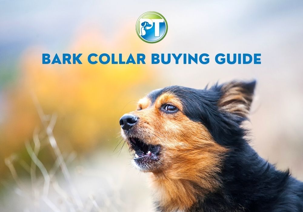 Bark Collar Buying Guide 2023