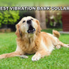 Best Vibration Bark Collars for Dogs: Humane Solutions for Excessive Barking