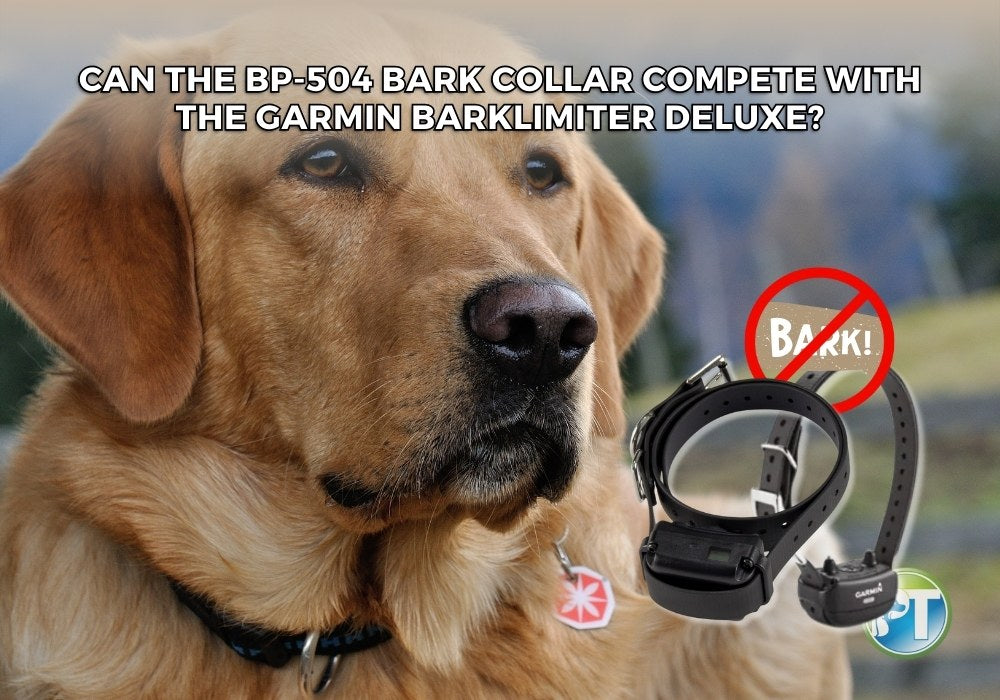 Can the BP-504 Bark Collar Compete with the Garmin BarkLimiter Deluxe?