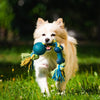 Dog Toys to Avoid in Pet Stores