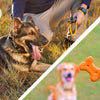 Positive Reinforcement vs Balanced Dog Training