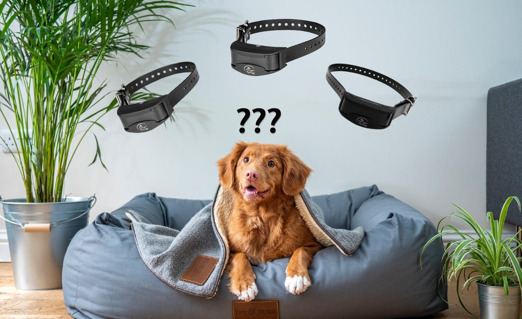 SportDog No Bark Collars – A Comparative Review of the 3 Best Models