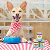 How to Read Pet Food Labels and Choose the Best Dog Food