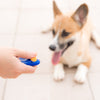 How to Train Your Dog with a Clicker