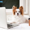 E-Collar vs Bark Collar vs E-Fence: Beginner’s Guide to Choosing the Right One