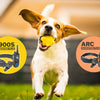 Dogtra HANDSFREE PLUS 1900S vs ARC – Collar Comparison
