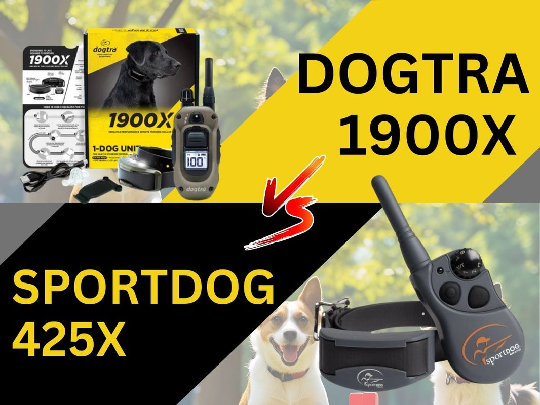 Picture Card Showing the Text Dogtra 1900X vs SportDog 425X with the remote and collars included in a yellow and black background
