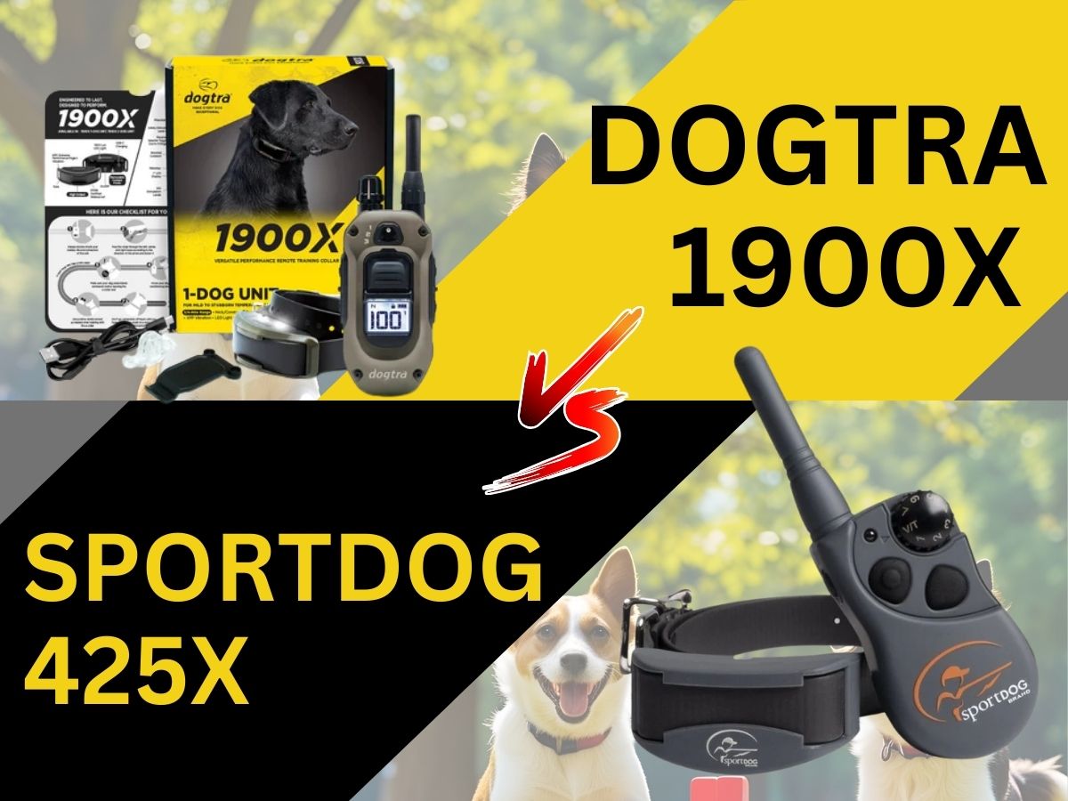 Picture Card Showing the Text Dogtra 1900X vs SportDog 425X with the remote and collars included in a yellow and black background
