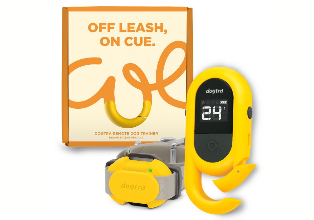 Dogtra CUE Remote Training Collar Box Set