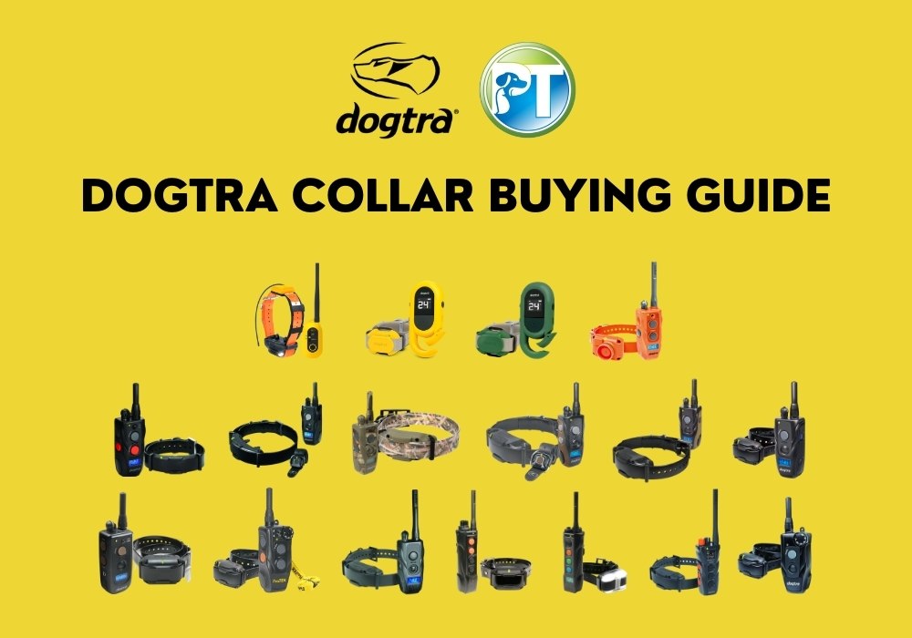 Dogtra Collar Buying Guide 2023