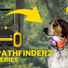 Tracking Down the Best GPS Collars by Dogtra