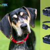 Dogtra No Bark Collar Comparison: What Model Works Best for You and Your Dog