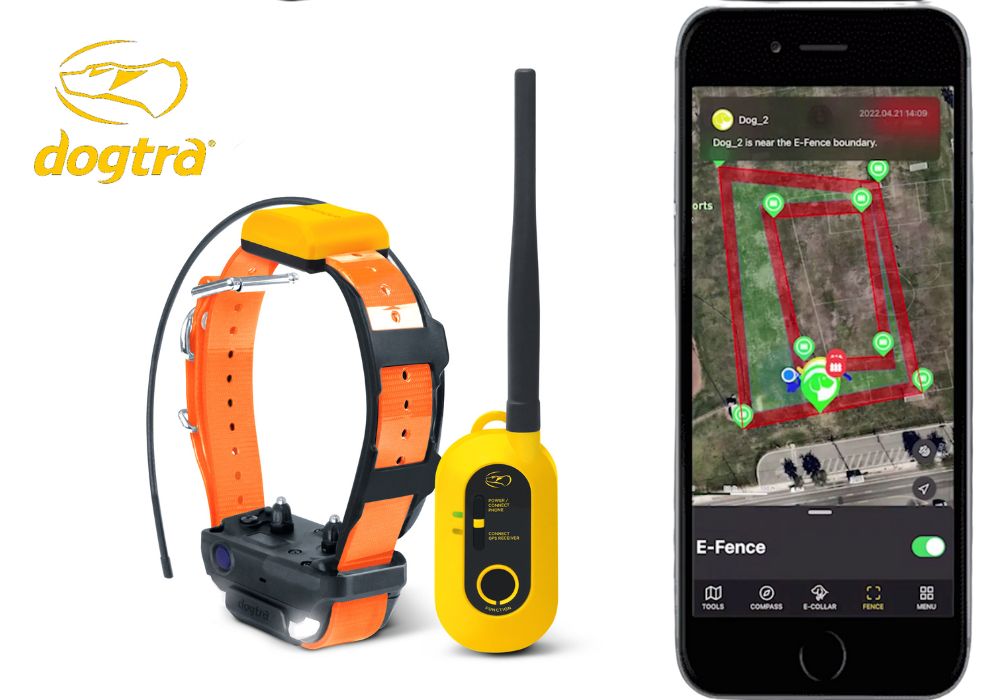 How to Use Dogtra Pathfinder2 Fence Features – Mobile, Geo, and E-Fence Guide