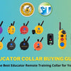 Educator Collar Buying Guide 2023