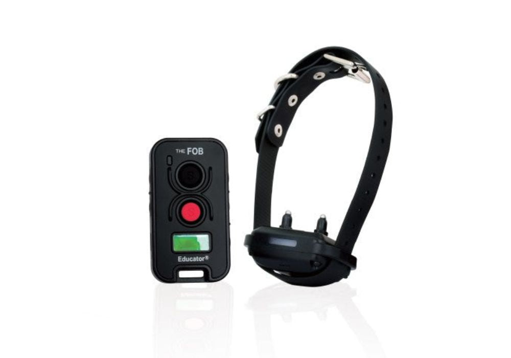 The Complete Guide to Using the FOB Educator FE-560 by E-Collar Technologies