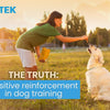 The Truth About Positive Reinforcement in Dog Training