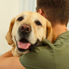 4 Fun Dog Tricks Beyond the Basics to Teach Your Pup
